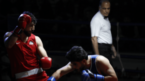 دو بوکسور مازنی در انتظار دومین انتخابی درون اردویی